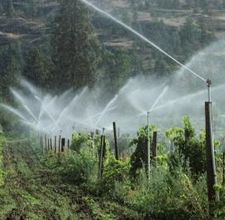 src=/media/fck/article-page-main-ehow-images-a08-3h-f1-replace-rain-bird-impact-sprinkler-800x800.jpg