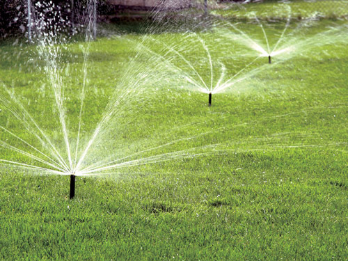 src=/media/fck/sprinklers_03_0710-lg-27441940.jpg